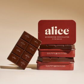 alice mushroom chocolate