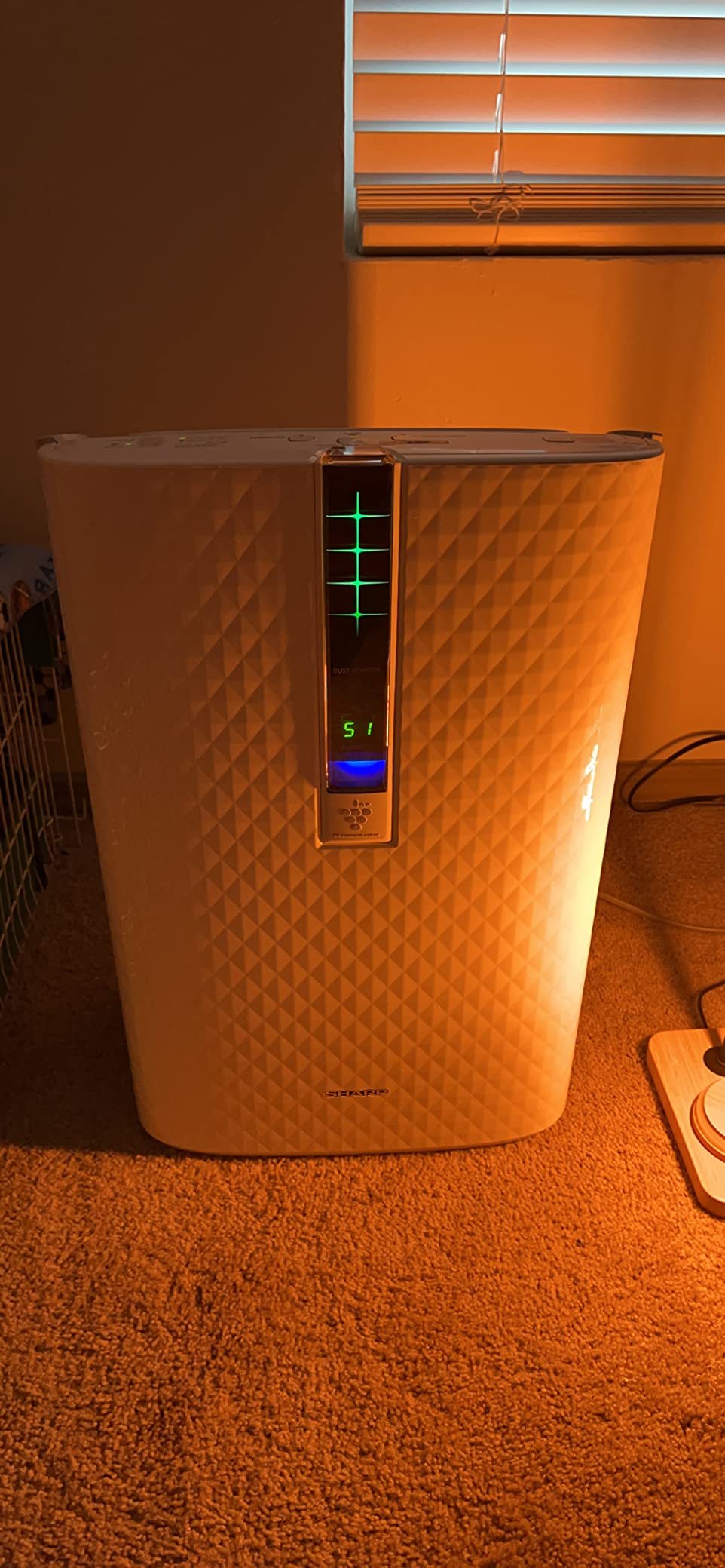 Sharp KC850U Air Purifier with Humidifier Combo customer photo 2
