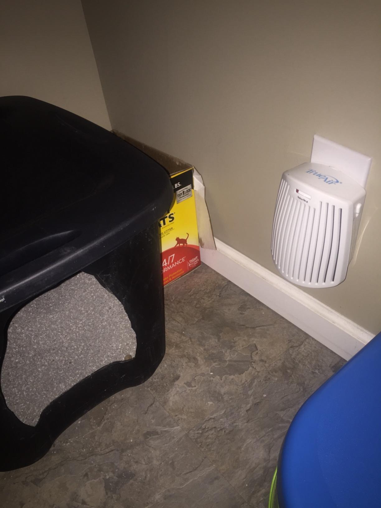 Hamilton Beach TrueAir Plug-Mount Odor Eliminator with Carbon Filter | Green Mountain Scent Cartridge | For Common Household Smells, Tobacco, Pet, Bathroom, Trash | On/Off Fan | 04530GM customer photo 1