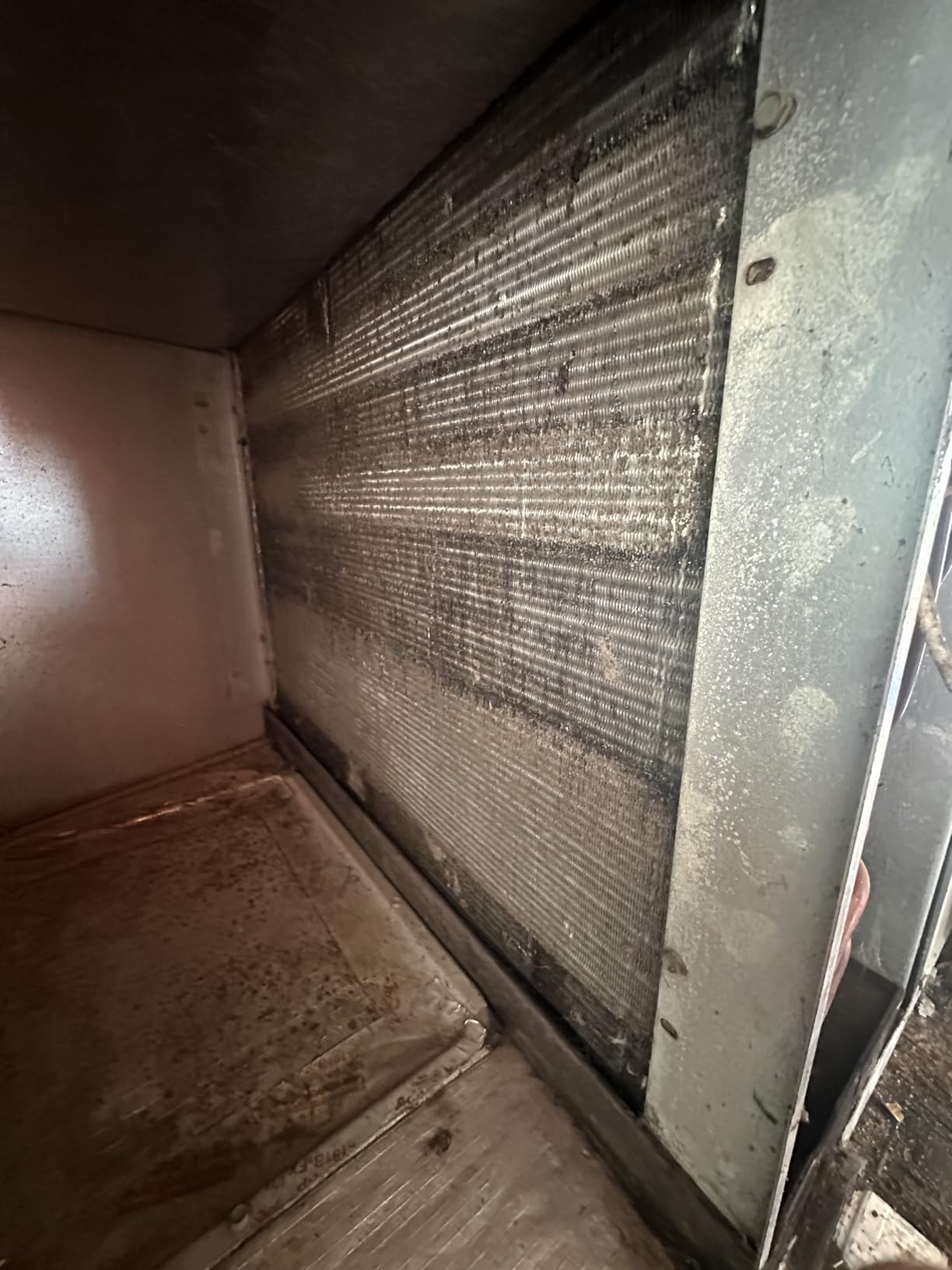 Filtrete 20x25x1 Air Filter, MERV 11, MPR 1000, Allergens & Pet Dander, 3-Month AC and Furnace Filters, 2 HVAC Filters customer photo 1