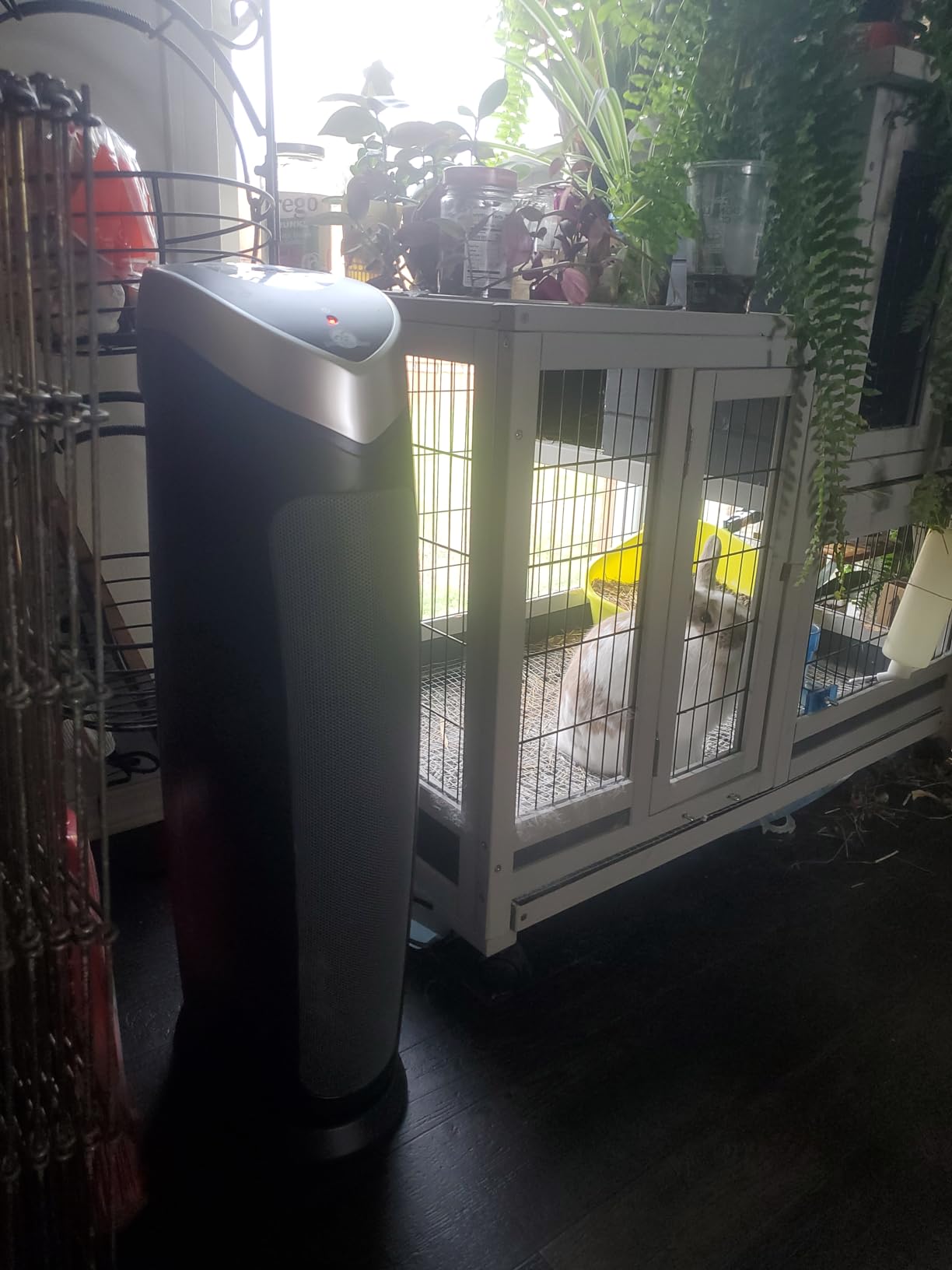 GermGuardian 5-In-1 HEPA Air Purifier for Home, Large Rooms Up To 915 Sq. Ft. with HEPA Pet Air Filter, UV-C Light & Odor Reduction, AC5250PT, 28 Tower, Gray customer photo 1