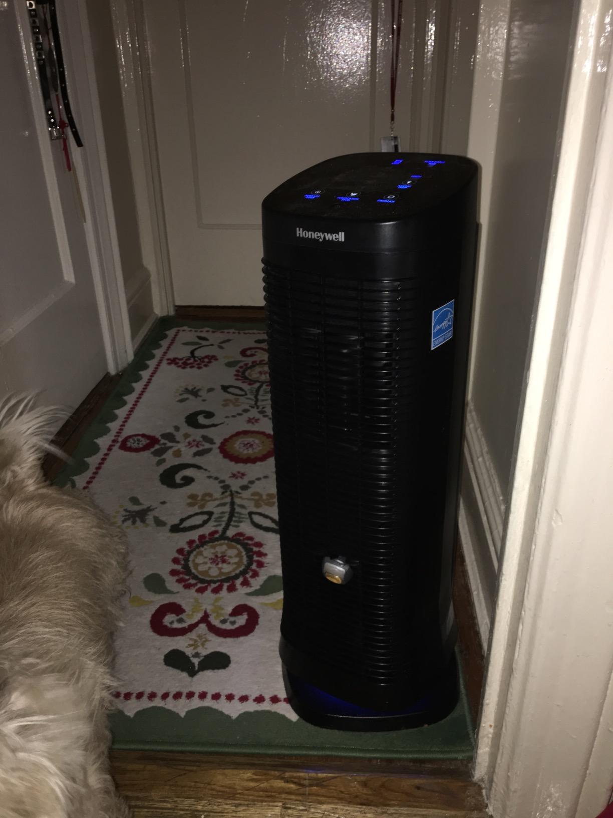 Honeywell Air Genius 5 Air Purifier for Large Rooms up to 1200 Ft², Permanent Washable Filters, Reduces Dust, Pollen, Pet Dander, Odors, Smoke, Black, HFD320 customer photo 1