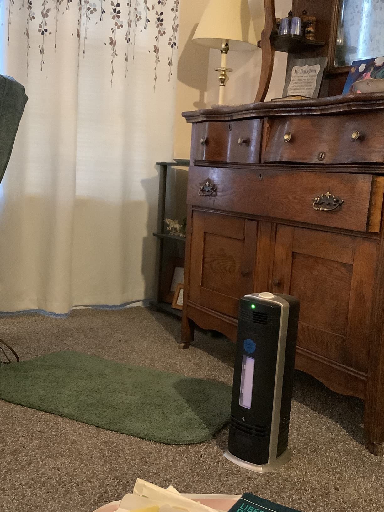 B-1000 Permanent Filter Ionic Air Purifier Pro Ionizer with UV-C customer photo 1
