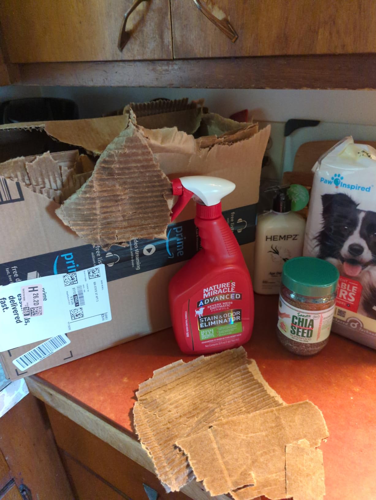 Nature’s Miracle Advanced Dog Stain & Odor Eliminator, Severe Mess, 32 oz customer photo 2