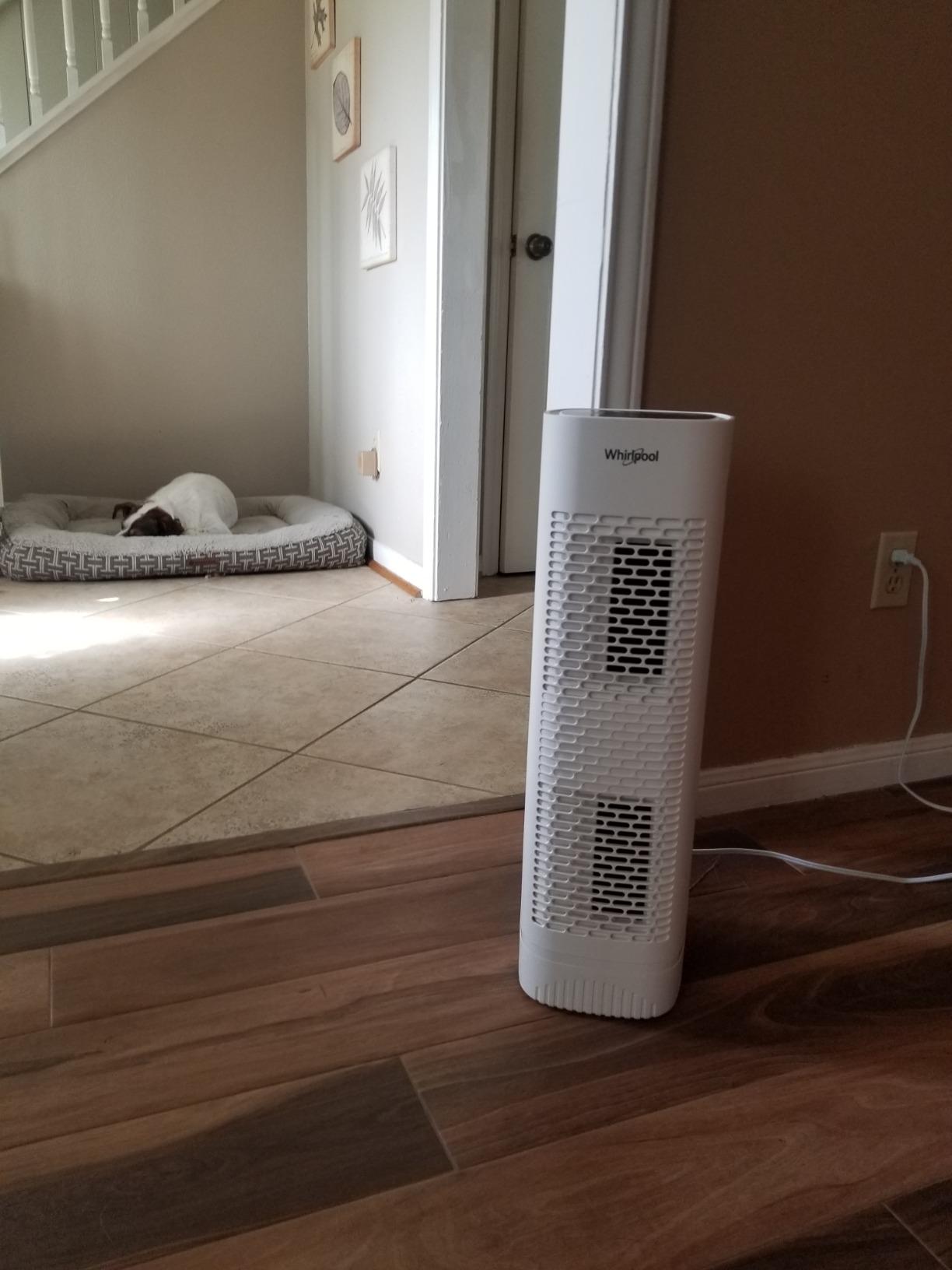 Whirlpool Whispure True Hepa Air Purifier, Activated Carbon Advanced Anti-Bacteria, Ideal for Allergies, Odors, Pet Dander, Mold, Smoke, Wildfire, and Germs, Medium, Black customer photo 2