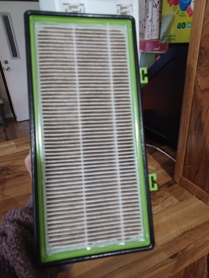 Colorfullife 4 True HEPA + 8 Pre-Filter Aer1 Filter Replacement Compatible With Holmes AER1 Air Purifiers, Replacement Parts # HAPF30AT, HAPF300AH-U4R, HAPF242-NUC customer photo 2
