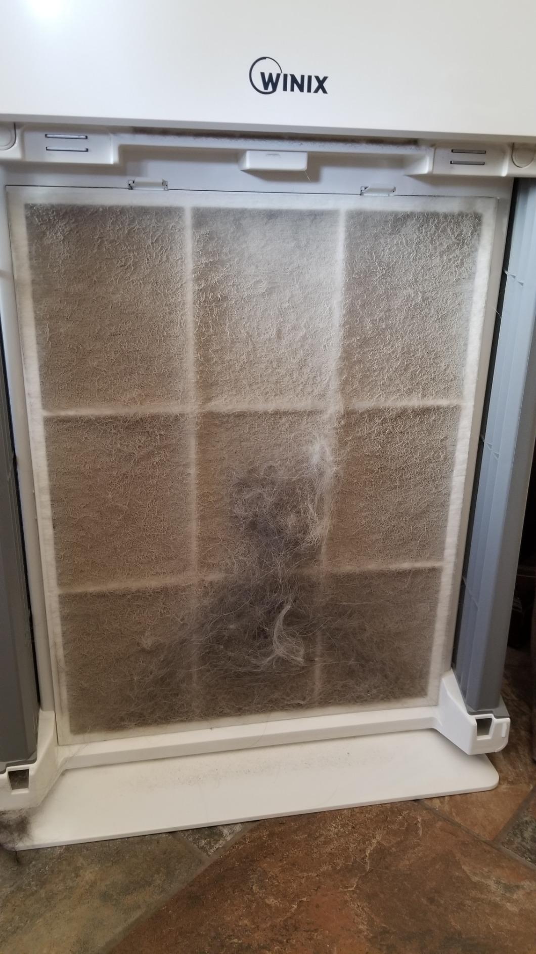 WINIX HR900 Ultimate Pet 5 Stage True HEPA Filtration Air Purifier, 300 Sq. Ft, White customer photo 2