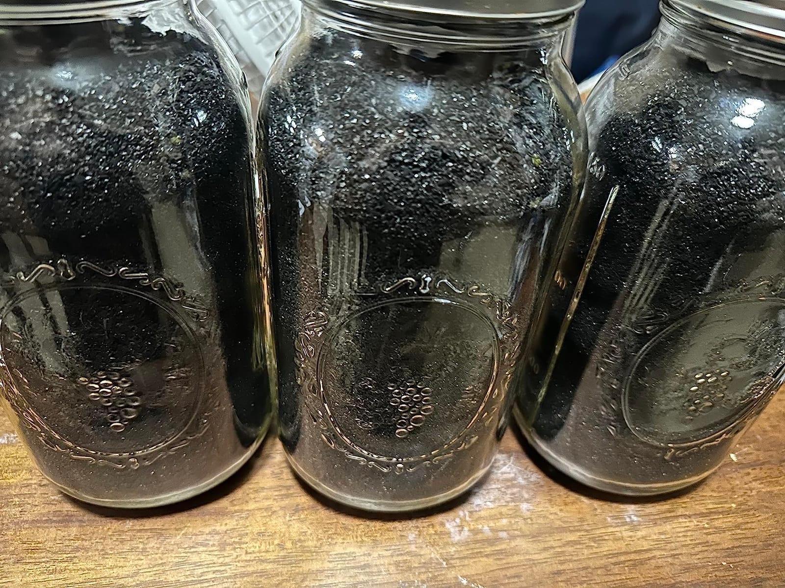 5 Lbs Bulk Water Filter/Air Filter Refill Coconut Shell Granular Activated Carbon Charcoal by IPW Industries Inc customer photo 1