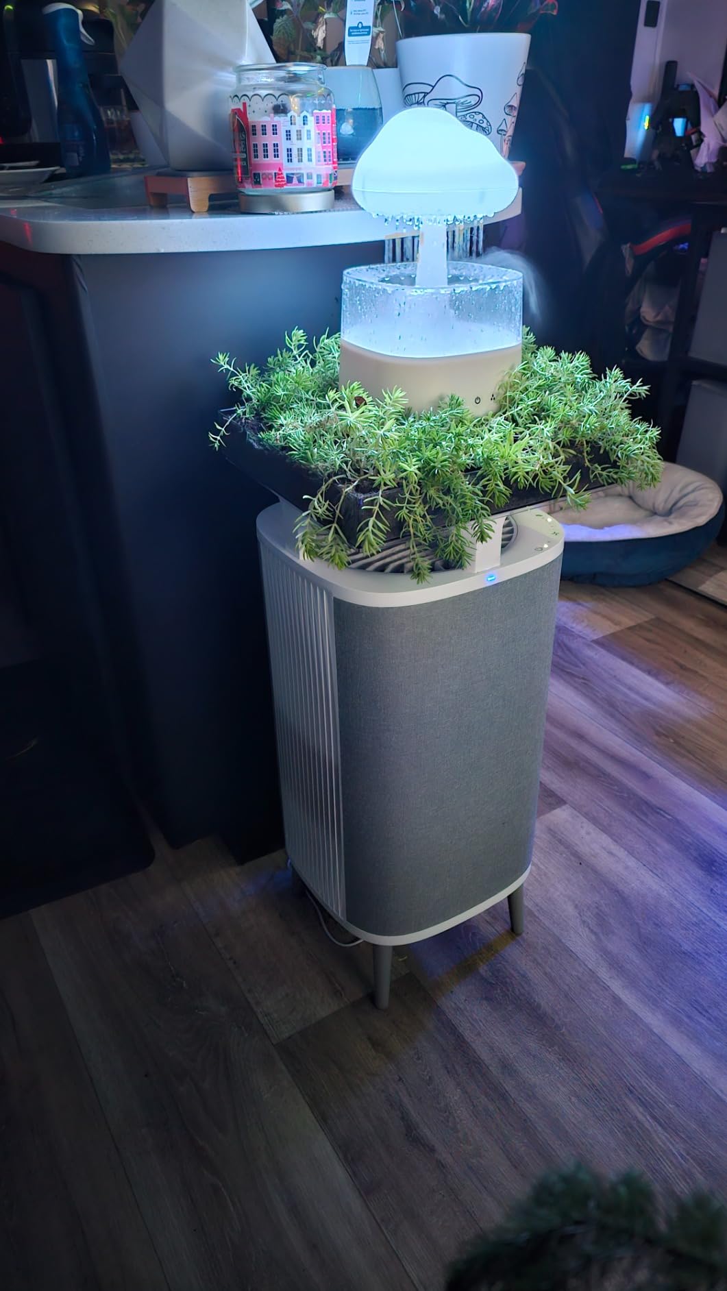 Air Purifier Medium Room, Cleans up to 1,713 Sq ft Air Cleaner for Dust Pet Dander Smoke Pollen Allergen Odor Removal Home Bedroom Living Room, Alexa, Auto, HEPASilent, DustMagnet 5440i customer photo 2