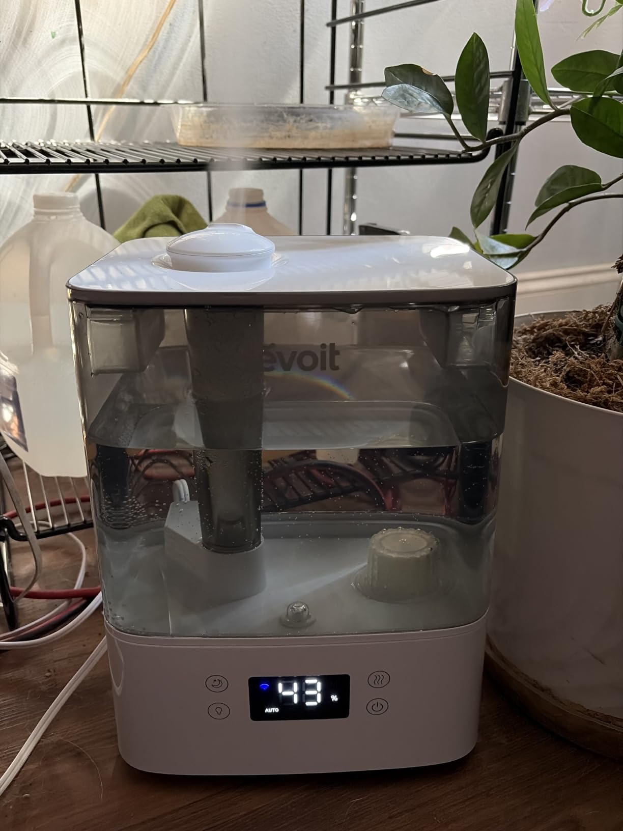 Levoit Humidifiers for Bedroom Large Room, 6L, 60H Runtime, 26dB, Smart App, Top Fill Cool Mist Humidifier for Baby & Plants, Easy to Clean, Essential Oil, Rapid Humidification & Auto Mode, Sleep Mode customer photo 2