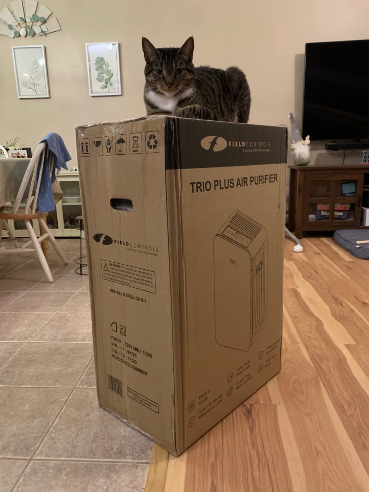 TRIO PLUS 5-Stage HEPA Air Purifier with UVC, PCO, Carbon, Air Quality Sensor, & Auto Function - Covers Up to 3,300 Sq. Ft. customer photo 1