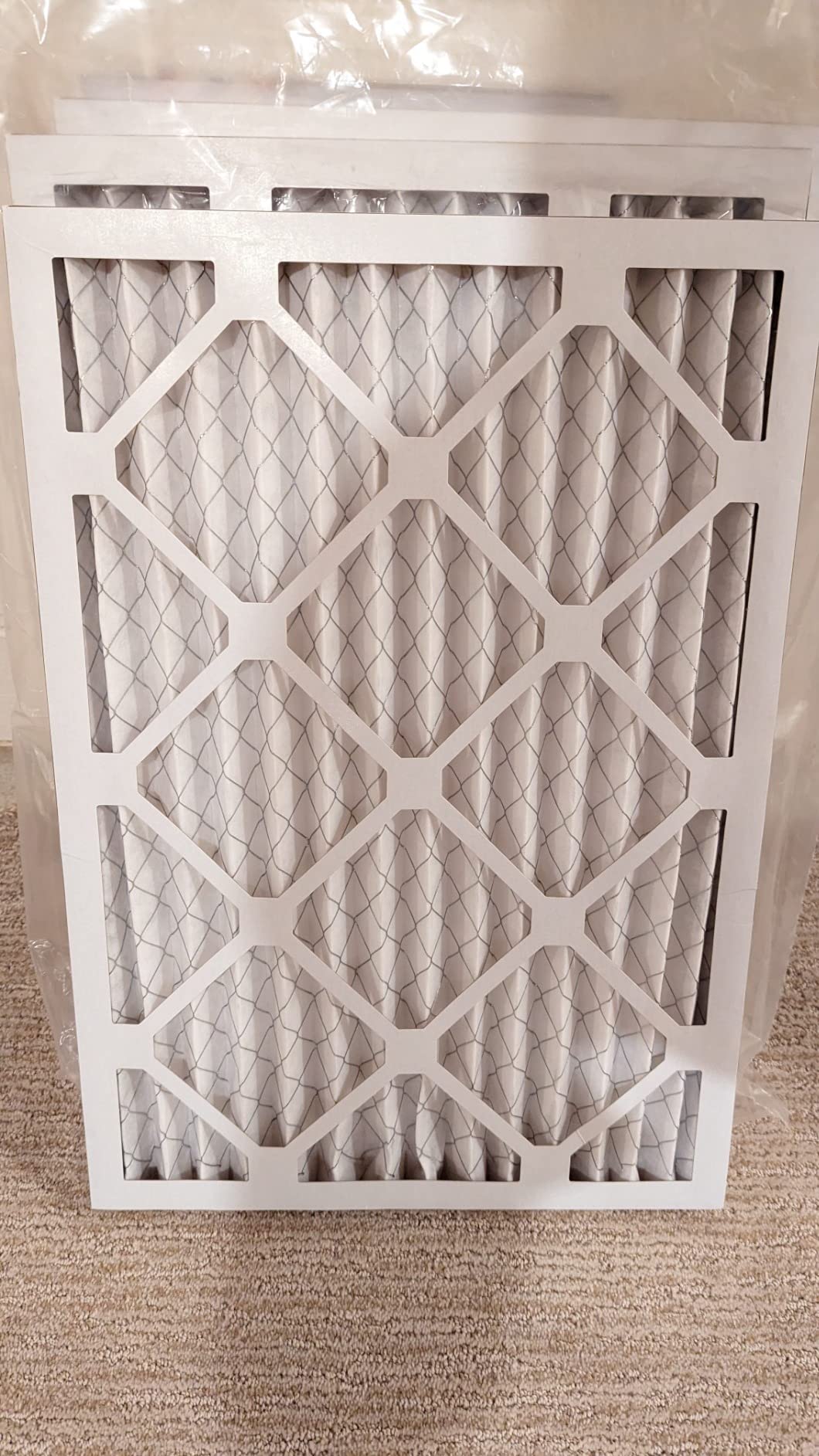BNX TruFilter 20x25x1 Air Filter MERV 13 (4-Pack) - MADE IN USA - Electrostatic Pleated AC Furnace Filters for Allergies, Pollen, Mold, Bacteria, Smoke, Allergen, MPR 1900 FPR 10 customer photo 2