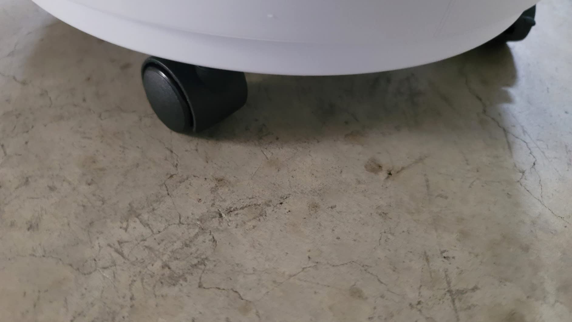 CleanForce Air Purifier for Large Room up to 2,250 ft², H13-Grade HEPA Filtration & Activated Carbon Layer, Captures Dust, Pollen, Smoke & Pet Dander | Smart App & Alexa | Gray, Rainbow Series customer photo 2