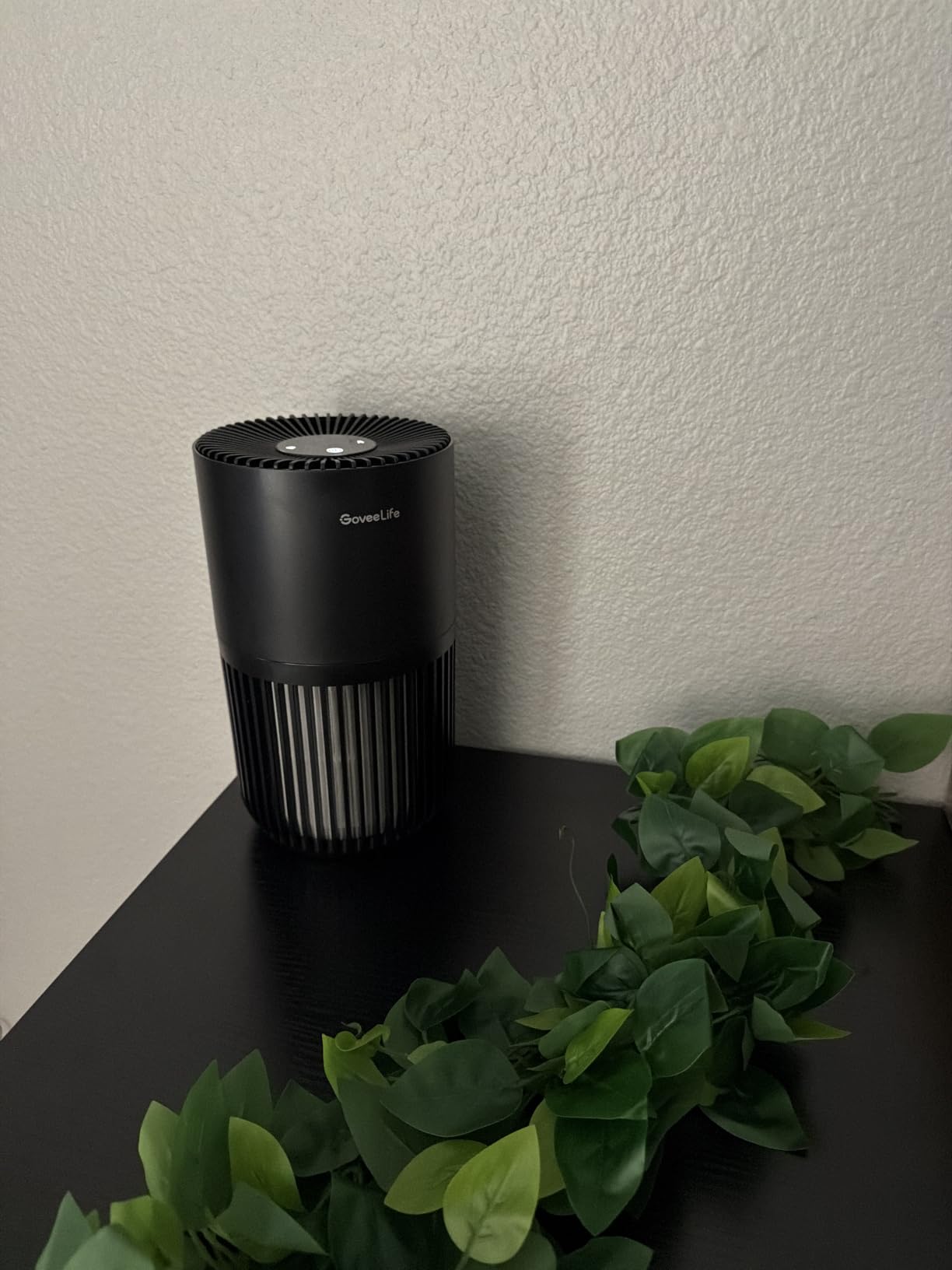 GoveeLife Smart Mini Air Purifier for Bedroom, with App & Alexa Control | HEPA Filter, Portable Air Cleaner with 3 Speeds, 2 Modes, Aroma for Pet Hair, Odors, Pollen, Home, White customer photo 1