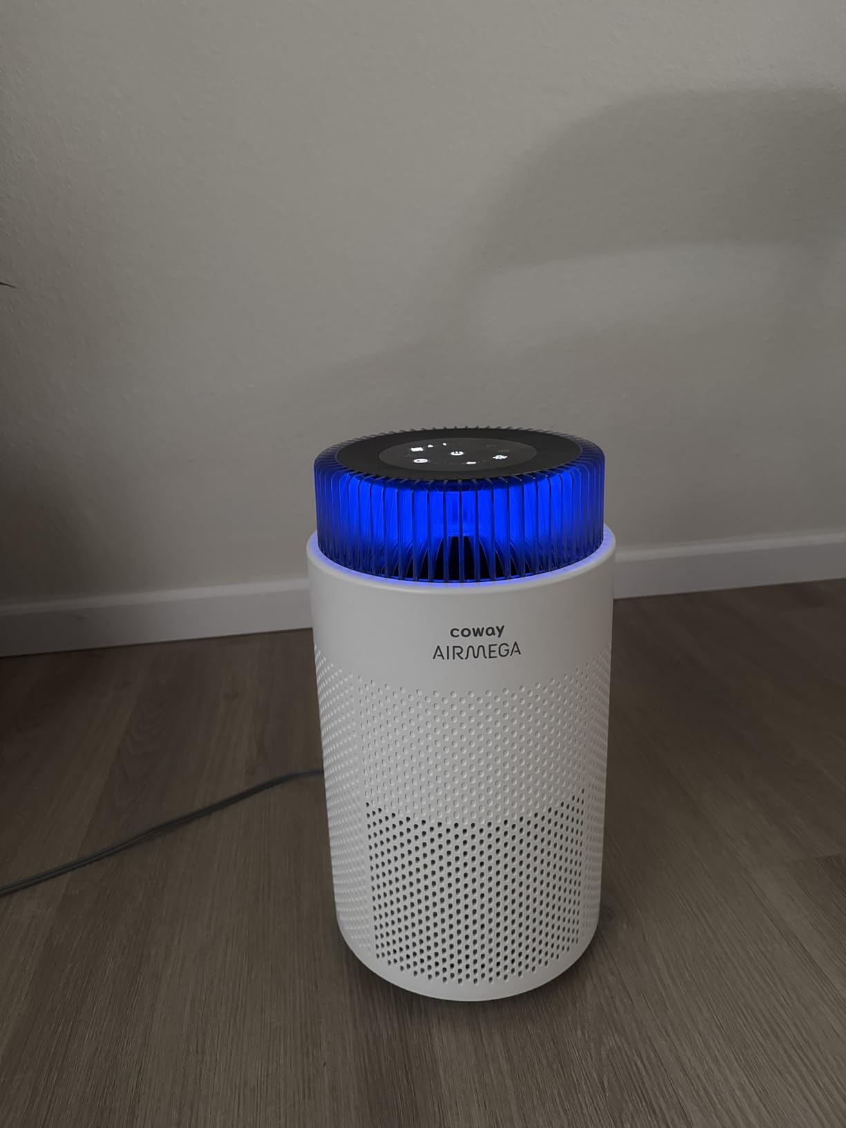 COWAY Airmega 100 Air Purifiers for Home up to 810 ft², HEPA and Carbon Filter for Smoke, Allergies, Pet Dander, Odor, AQI Monitor, Auto Mode, White customer photo 2
