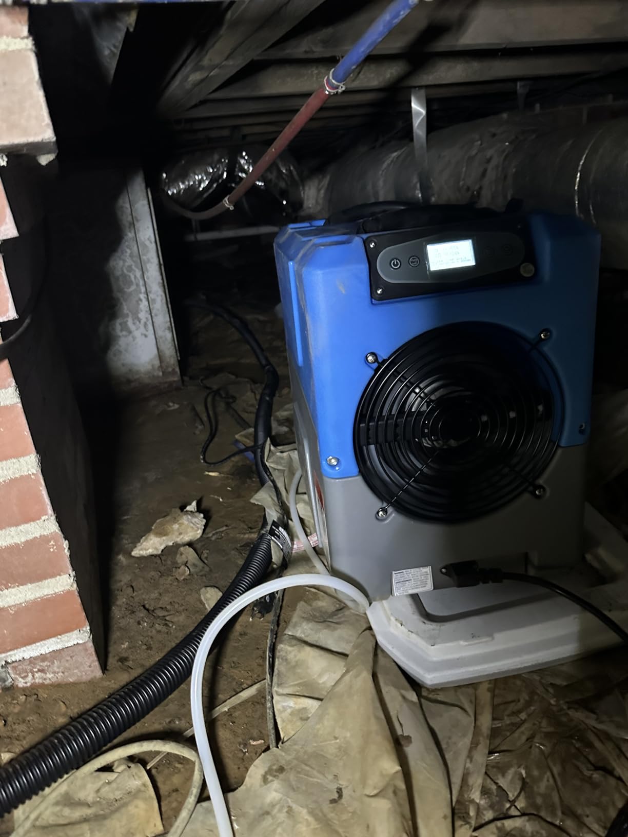 Mounto 150 Pints Compact Commercial Dehumidifier, LGR Technology, Built-in Pump, ETL Certified, Ideal for Large Spaces, Water Damage Restoration, Industrial Use (Green) customer photo 1