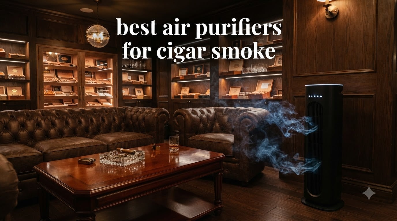 best air purifiers for cigar smoke