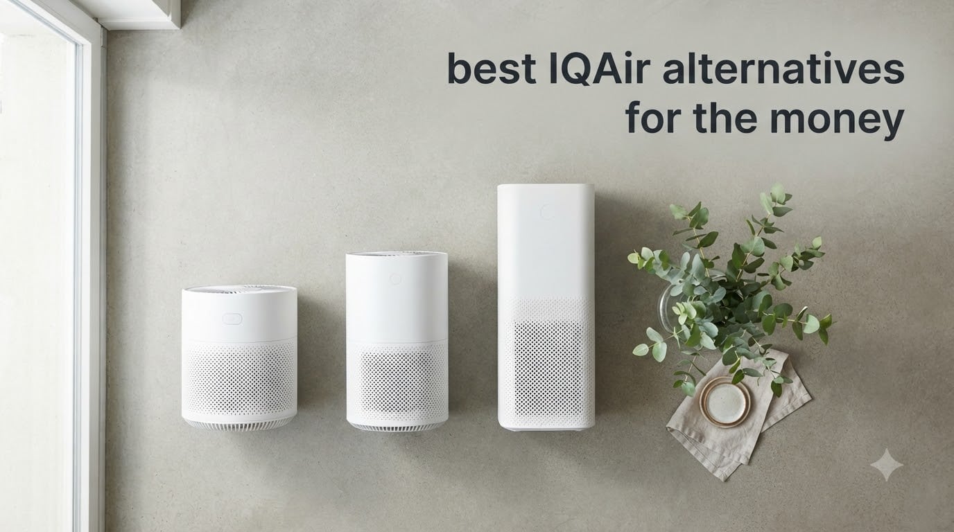best IQAir alternatives for the money
