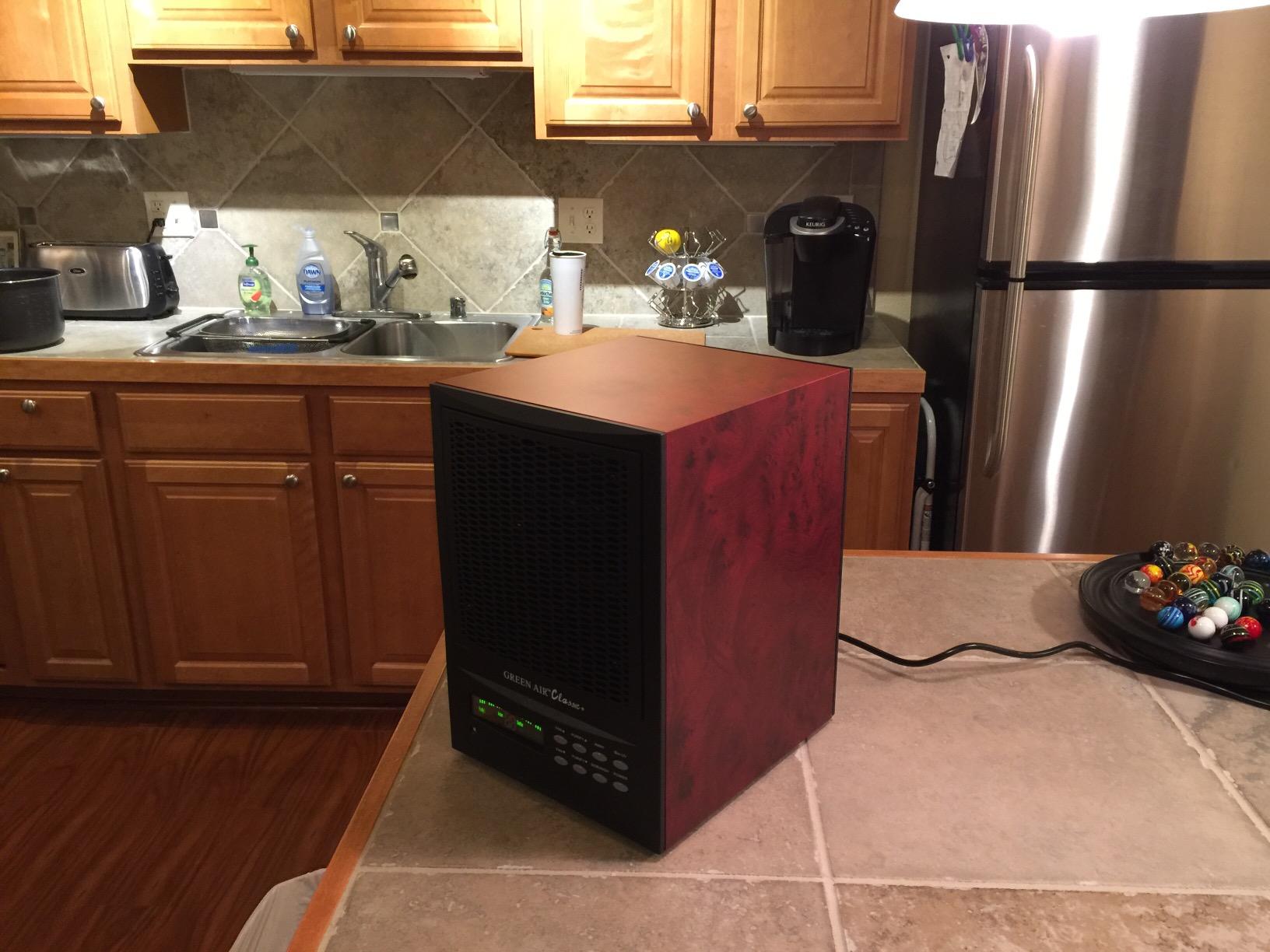 Green Air Classic Air Purifier Ozone Generator customer photo 2