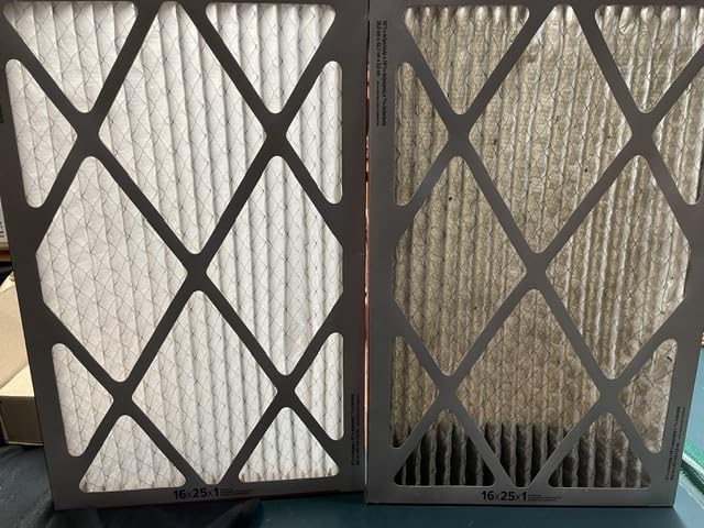 Filtrete 14x20x1 Air Filter, MERV 11, MPR 1000, Allergens & Pet Dander, 3-Month AC and Furnace Filters, Cleaner Air, Reliable Airflow, 2 HVAC Filters (Actual Size 13.68 x 19.68 x 0.81 in) customer photo 1