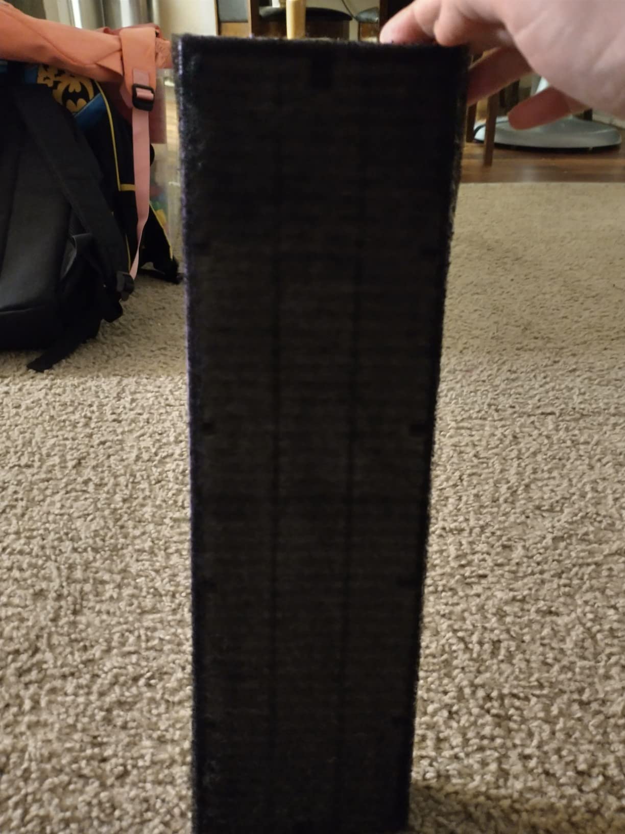 Germ Guardian FLT4850PT True HEPA Genuine Air Purifier Replacement Filter B, with Pet Pure Treatment for GermGuardian C4900, AC4825, AC4850PT, CDAP4500, AC4300, and More customer photo 2