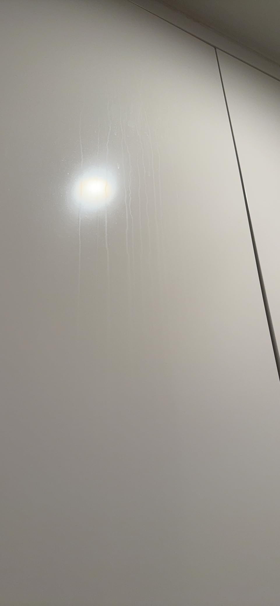 Biocide 100 EPA Registered Mold, Mildew and Fungi Remover, Cleaner and Disinfectant | Eliminates Household Mold Spores, Bacteria, Germs, Viruses | Non-Toxic and Safe | 1-Quart customer photo 1