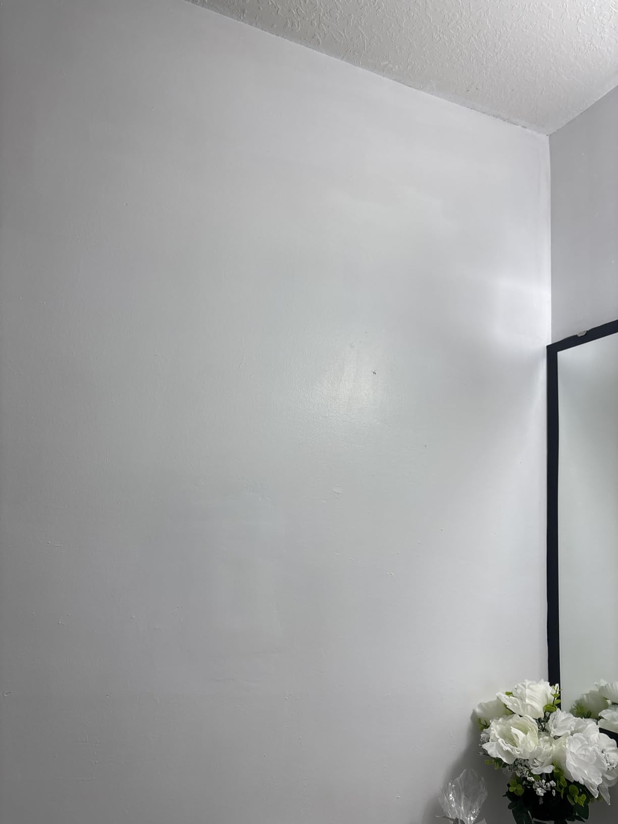 Zinsser 286258 Bulls Eye 1-2-3 All Surface Primer, Quart, Gray customer photo 2