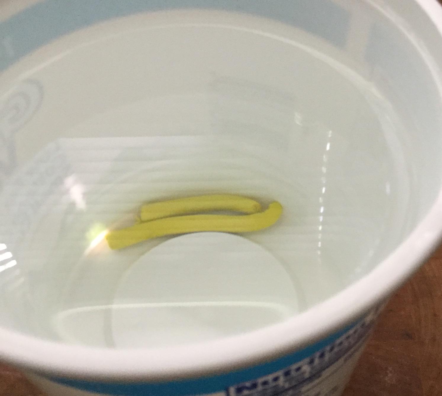 SANI 360° Sani Sticks Drain Cleaner and Deodorizer, 24 Sticks, Lemon Scent customer photo 2