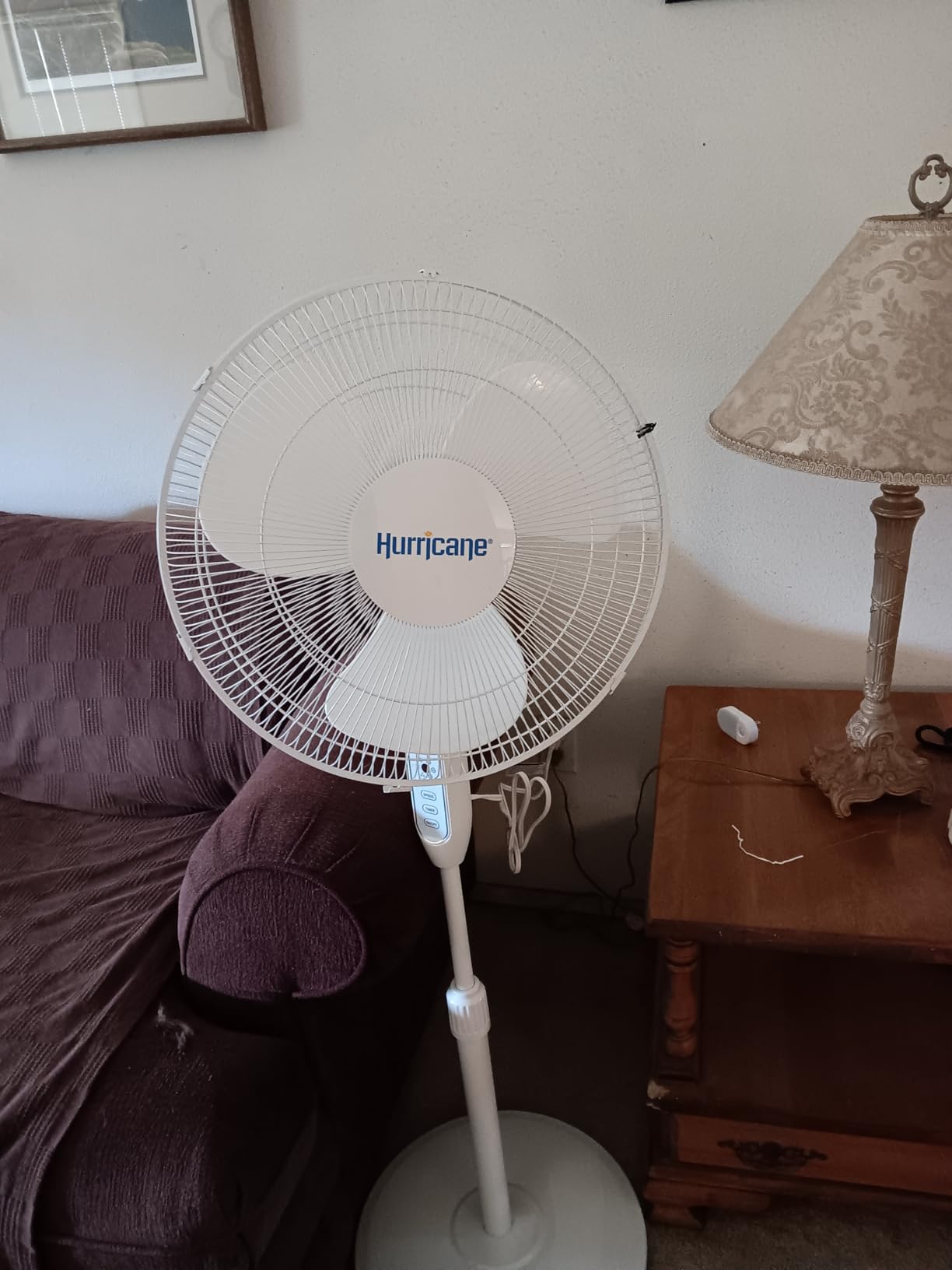Hurricane Pro High-Velocity Oscillating Metal Stand Fan, 3 Speeds, 20in customer photo 1
