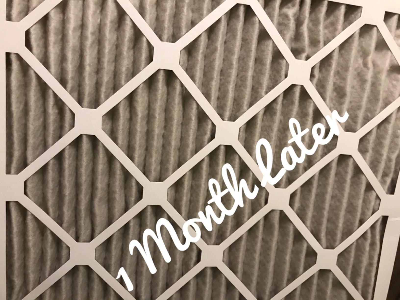 AIRX WICKED CLEAN AIR. HEALTH 20x20x1 MERV 13 Pleated Air Filter - Made in the USA - Box of 6 customer photo 1