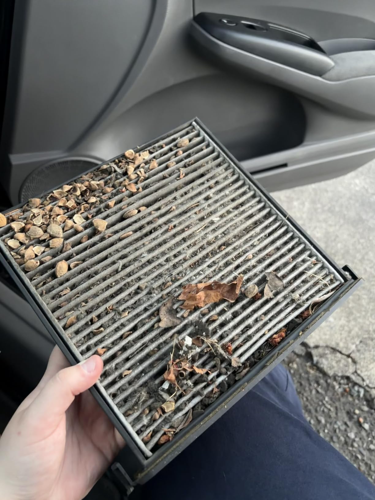 BOSCH 6029C HEPA Cabin Air Filter - 3 Layer Protection For A Healthier Ride customer photo 2