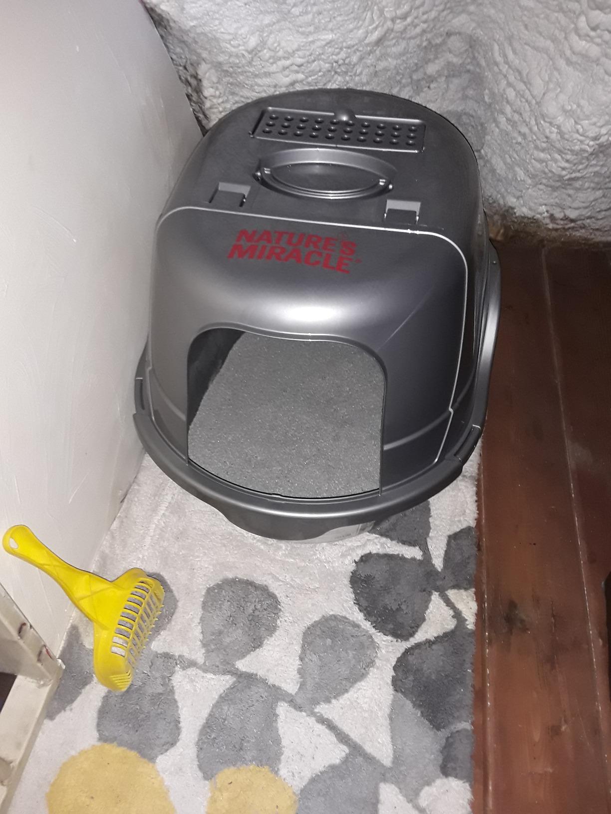 Nature's Miracle Hooded Flip Top Cat Litter Box with Charcoal Filter customer photo 1