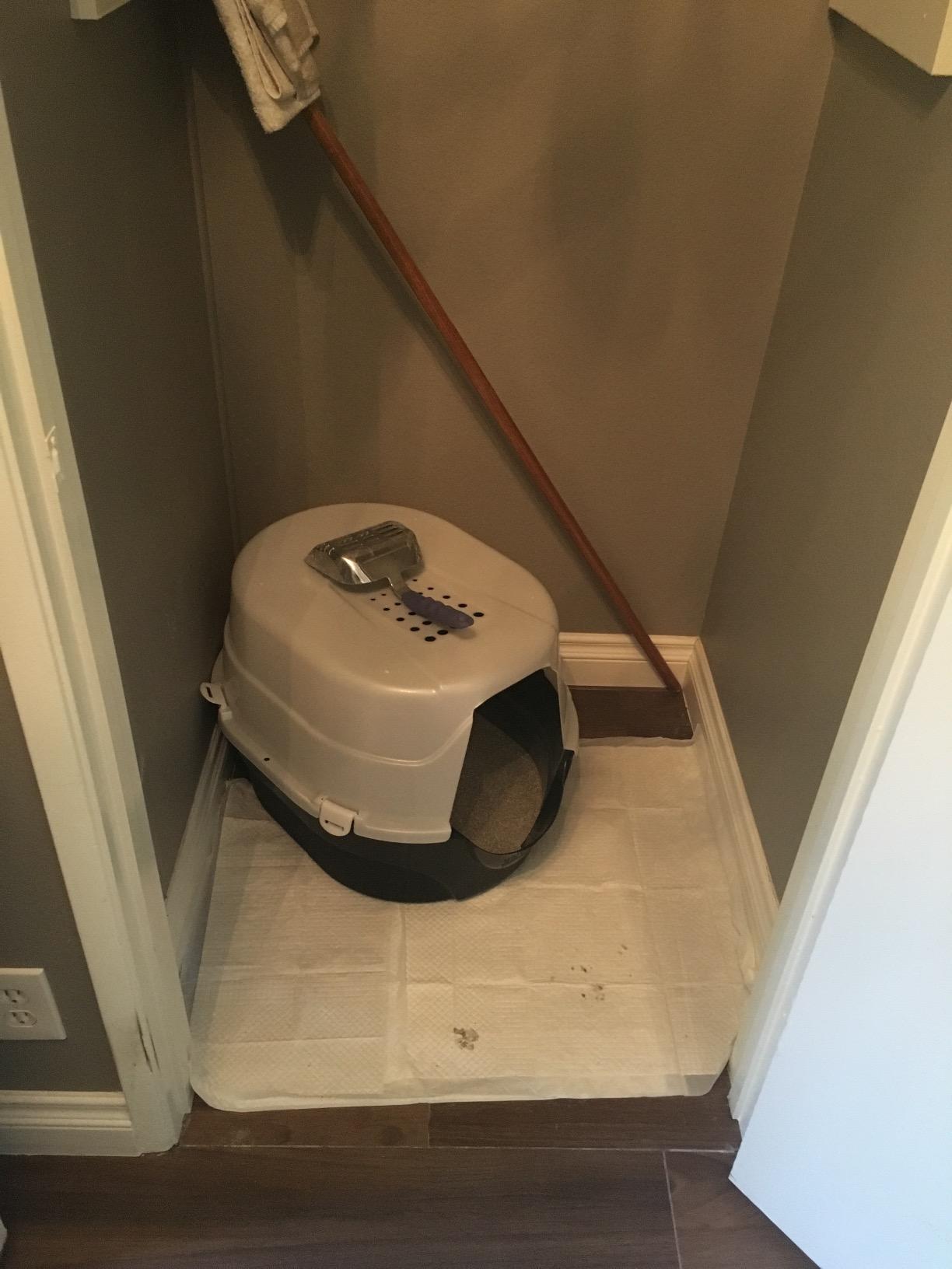 Nature's Miracle Hooded Flip Top Cat Litter Box with Charcoal Filter customer photo 2