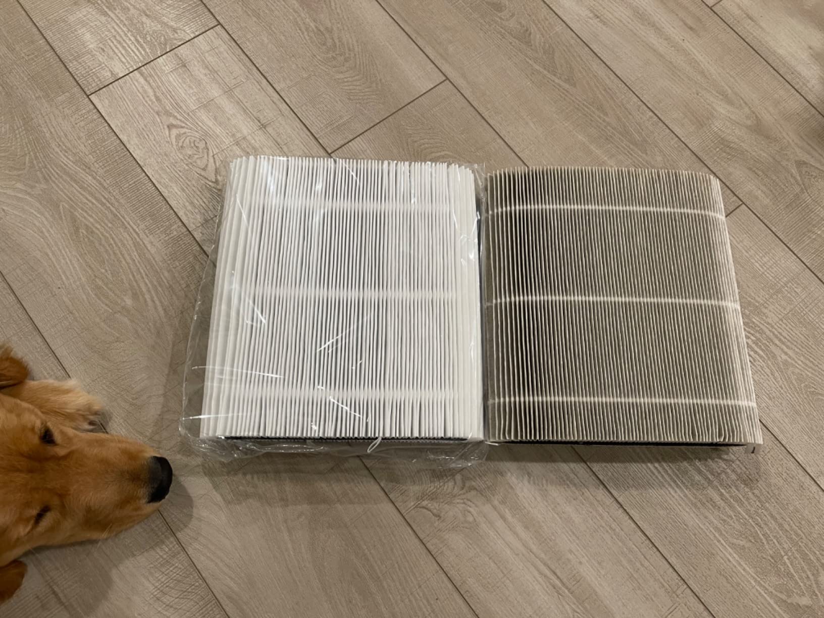 BLUEAIR Genuine 411 Series Air Purifier Replacement Filter, Everyday customer photo 2