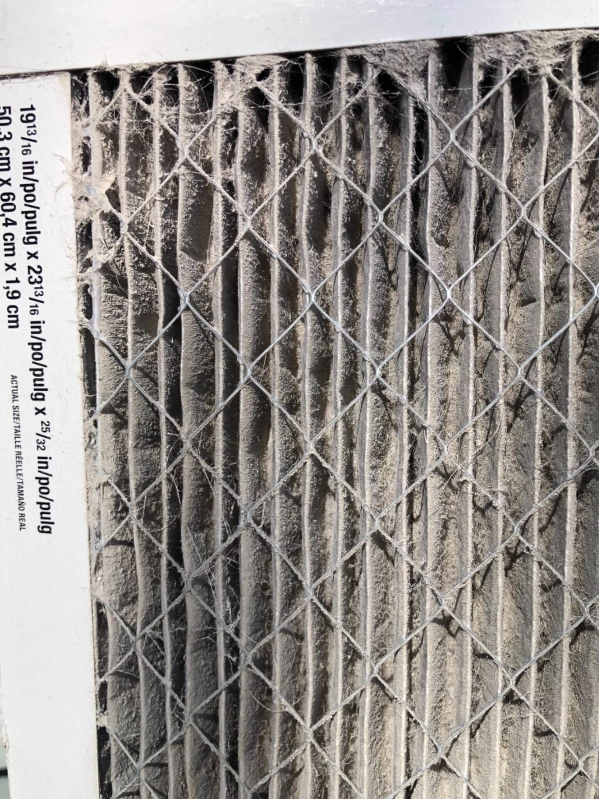 Filtrete 16x25x1 Air Filter, MERV 13 MPR 1900, Allergens, Bacteria, Viruses & Air Pollutants, 3-Month AC/Furnace Filters, Cleaner Air Reliable Airflow, 6 HVAC Filters(Act Size 15.62x24.62x0.78 in) customer photo 1