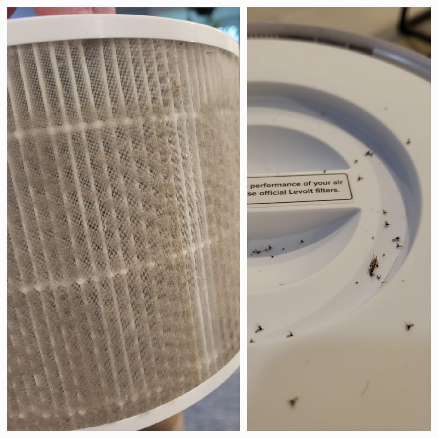 Levoit Core 300-P Air Purifier Toxin Absorber Replacement Filter, 1 Pack customer photo 1