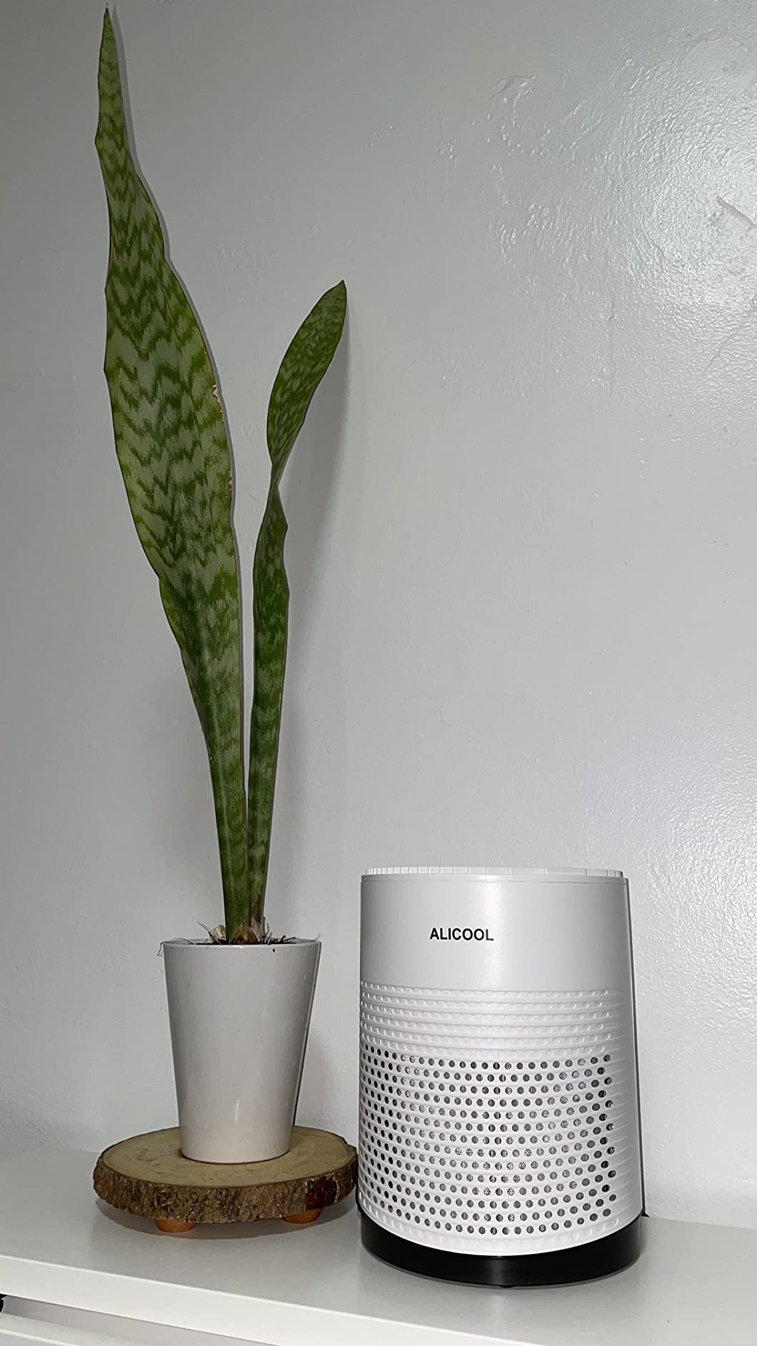 Air Purifiers - ALICOOL True H13 HEPA Air Filter Purifier for 99.97% Dust, Pollen, Mold Spores, Pets Hair, Asthma, Smoke, Sleep Mode and Night Light Air Purifiers for Bedroom Office Living Room customer photo 1