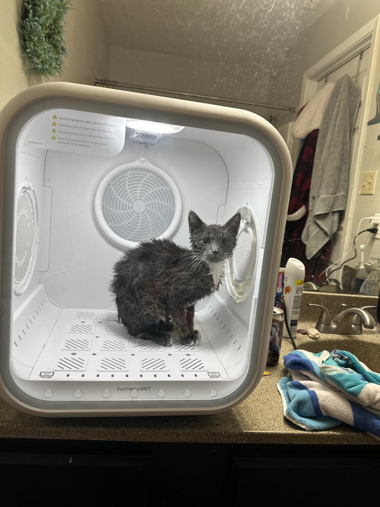 HomeRunPet Automatic Cat Dryer, 40dB Ultra Quiet Pet Dryer Box (Drybo Plus) customer photo 2
