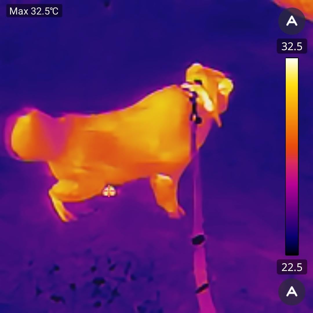 GOYOJO Thermal Imaging Camera for Android/iphone 15/16/17 iOS Series 192x192 IR Resolution– Water Leak Detection HVAC Electrical Plumbing, Automotive Repair, Home Inspection, DIY-USB-C Infrared Imager customer photo 2