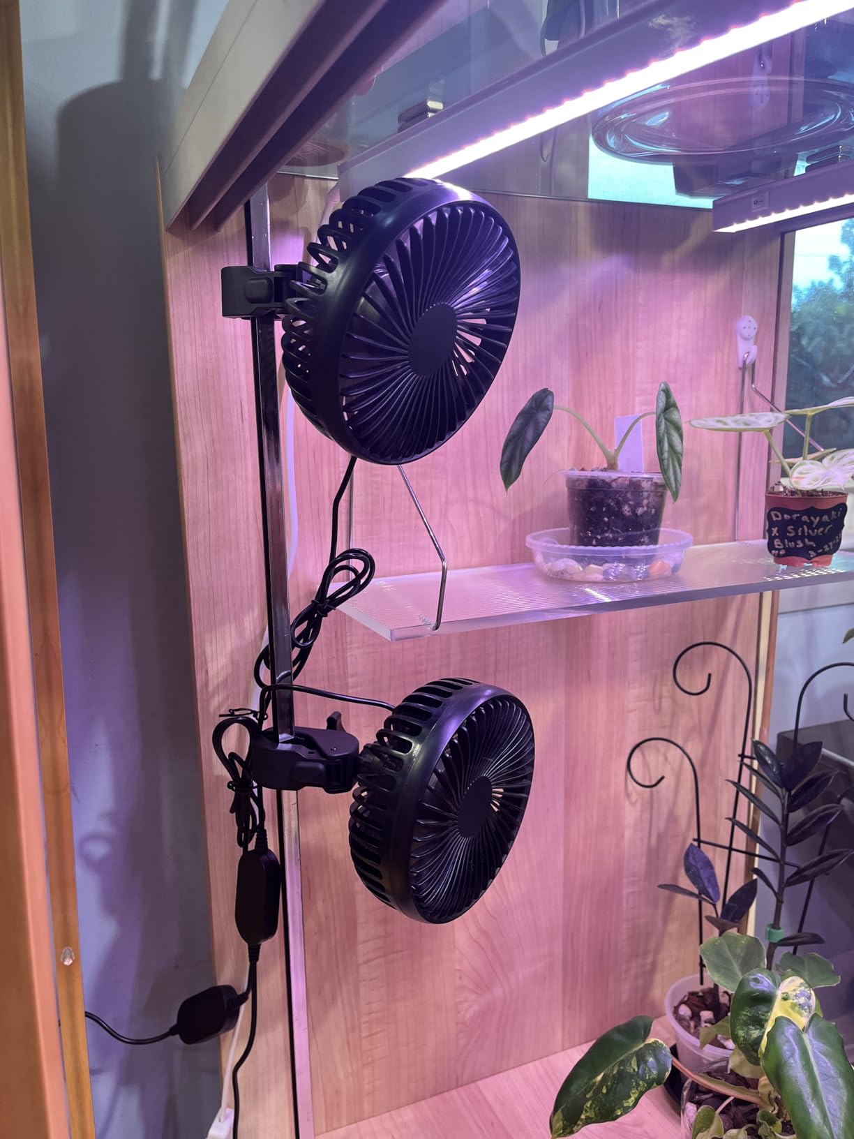 Grow Tent Fan, 5in Two Fans for Greenhouse Plant All Direction Ventilation Circulation Instead of Oscillating, Can Work with Timer and Thermostat, 3 Speeds IP54 Waterproof 8ft Cord Power Adapter customer photo 2