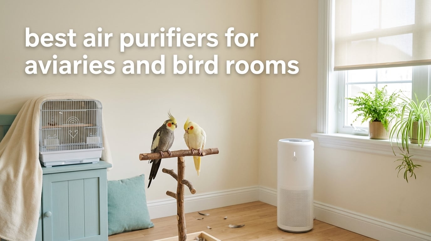 best air purifiers for aviaries and bird rooms