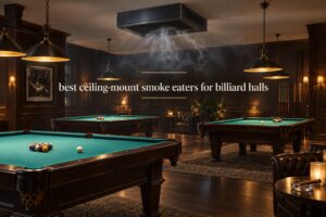 best ceiling-mount smoke eaters for billiard halls
